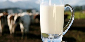 SỮA AUSTRALIAN FARMERS MILK - Vẹn nguyên dinh dưỡng