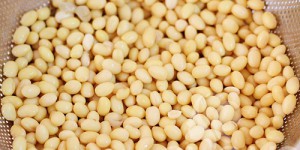 Lợi ích từ sữa đậu nành mà bạn cần quan tâm