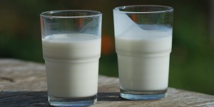 Sữa tươi AUSTRALIAN FARMERS MILK - Thức uống thơm ngon không thể thiếu