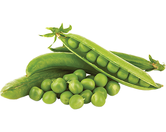 Horeca Đậu Hà Lan 