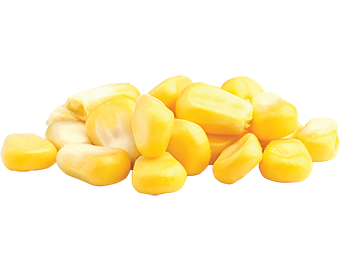 Horeca Bắp Mỹ ngọt